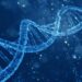توالی‌های ویروسی پنهان در DNA ممکن است ژن ‌های ما را کنترل کنند