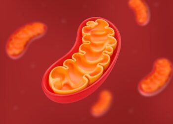 محققان مولکولی ساختند که از آسیب DNA میتوکندری جلوگیری می‌ کند