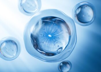 کشف سلول روده ‌ای جدید در مار پایتون برای هضم کامل استخوان