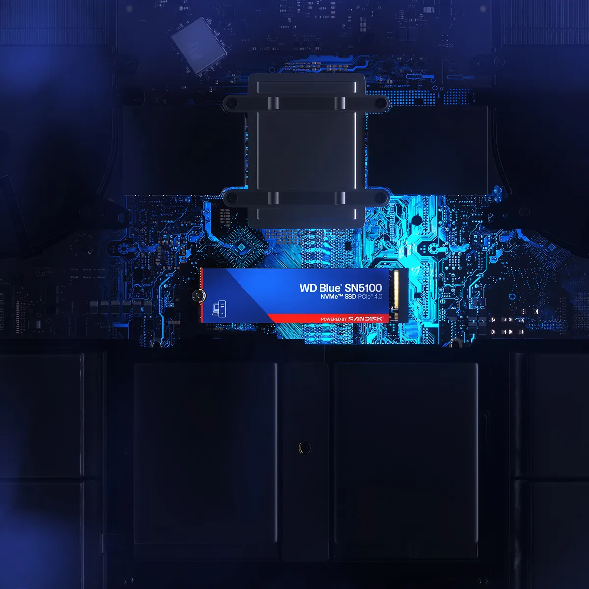 اساسدی WD Blue SN5100 سندیسک