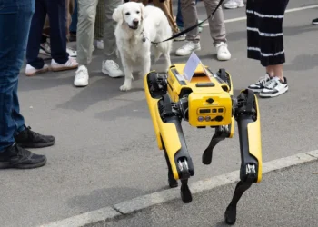 هنگکنگ سگ های رباتیک را برای مهار ویروس چیکونگونیا بهکار می گیرد