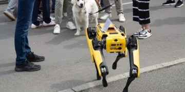 هنگ‌کنگ سگ ‌های رباتیک را برای مهار ویروس چیکونگونیا به‌کار می‌ گیرد