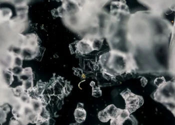 انقلاب در انرژی پاک با کشف ماده ای که اکسیژن را مانند ریه جذب و آزاد می کند