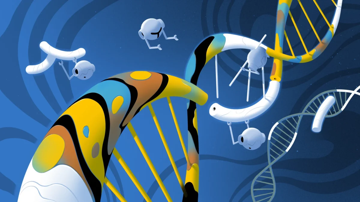DNA تحت فشار به شکل مارپیچ های منظم درمی آید