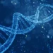 DNA تحت فشار به‌جای گره خوردن به شکل مارپیچ‌ های منظم درمی ‌آید
