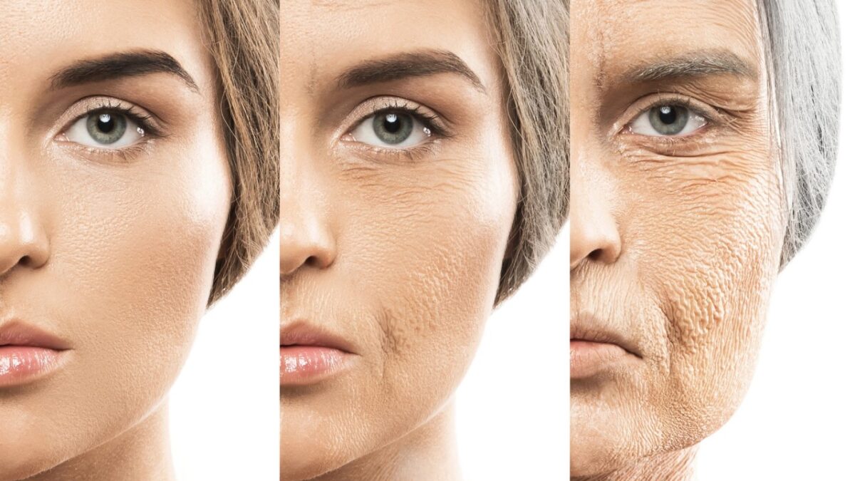 ۳۷۱ هدف ژنتیکی جدید برای توسعه راهکارهای مقابله با پیری کشف شد