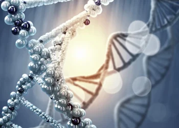 کشف ۳۷۱ هدف ژنتیکی جدید برای توسعه راهکارهای مقابله با پیری