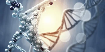 کشف ۳۷۱ هدف ژنتیکی جدید برای توسعه راهکارهای مقابله با پیری