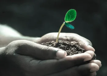 ۶۰ درصد از خشکیهای زمین خارج از محدوده امن قرار دارند