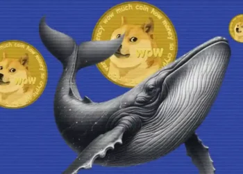 ایستادگی نهنگ‌ها در برابر ریسک سقوط شدید دوج‌کوین