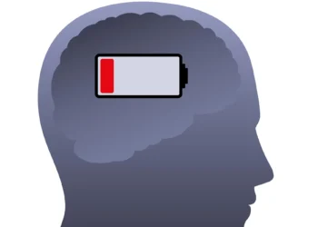 دانشمندان با تحریک میتوکندری موفق به بازگرداندن حافظه شدند