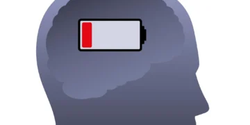 دانشمندان با تحریک میتوکندری موفق به بازگرداندن حافظه شدند