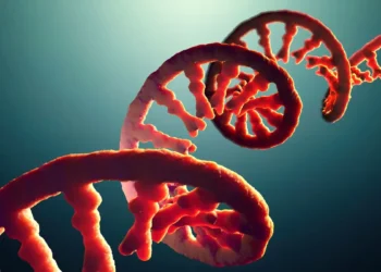 بازسازی پیوند اولیه میان RNA و اسیدهای آمینه