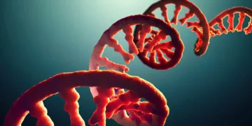 بازسازی پیوند اولیه میان RNA و اسیدهای آمینه