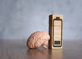 خواب آلودگی روزانه از خون شما نشأت می ‌گیرد و رژیم غذایی راه مقابله با آن است