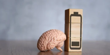 خواب آلودگی روزانه از خون شما نشأت می ‌گیرد و رژیم غذایی راه مقابله با آن است