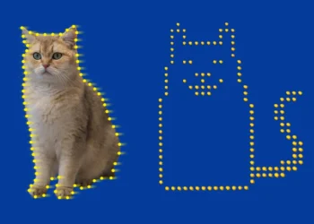 فیزیک‌دانان کوچک‌ترین ویدیوی جهان را از گربه کوانتومی با ۲ هزار اتم ساختند