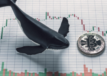 نهنگ خفته بیت‌کوین پس از ۱۰ سال از خواب برخاست و ۵۵۰ میلیون‌دلار سود خود را نقد کرد