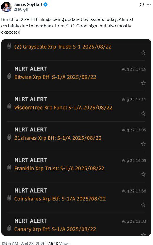 ثبت درخواستهای جدیدی برای راهاندازی ETF اسپات ریپل توسط گریاسکیل، بیتوایز و دیگر شرکتها