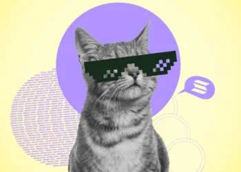 ریزش آزاد میمکوینهای سولانا؛ افت دستکم ۱۰ درصدی فارت کوین و پاجی پنگوئن