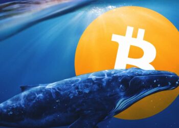 کوچ نهنگ‌های رمزارزی از بیت‌کوین به اتریوم؛ ماجرا از چه قرار است؟