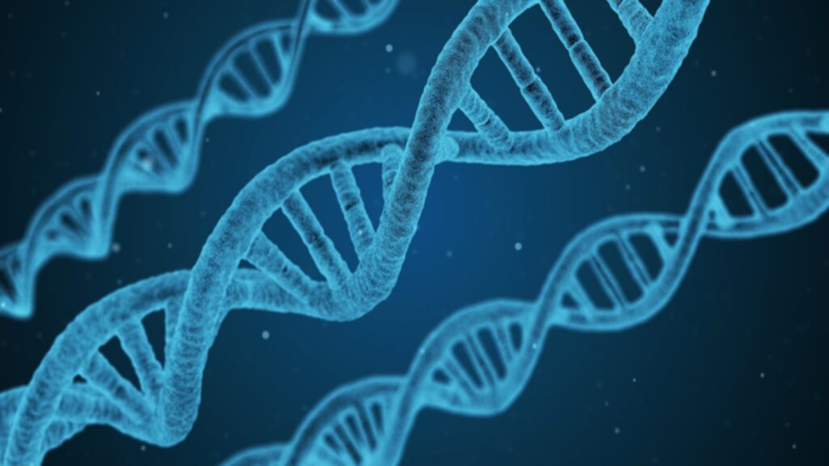 ذخیره‌سازی داده‌ها در DNA، راهکاری نوین برای بحران نگهداری داده‌ ها