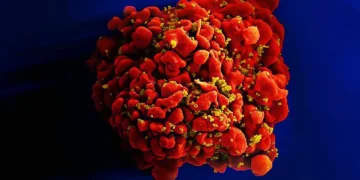 کشف نقطه ‌ضعف کلیدی ویروس HIV که راه را برای درمان بهتر هموار می کند