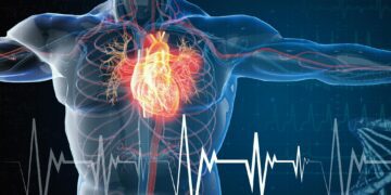 کشف نقش عفونت در حمله قلبی!