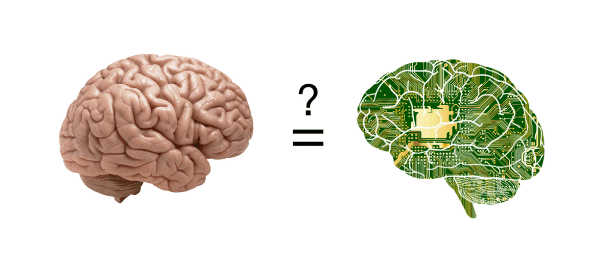 زمان‌بندی دقیق پردازش اطلاعات در مغز