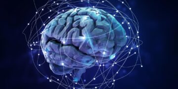 کشف زمان‌بندی دقیق پردازش اطلاعات در مغز