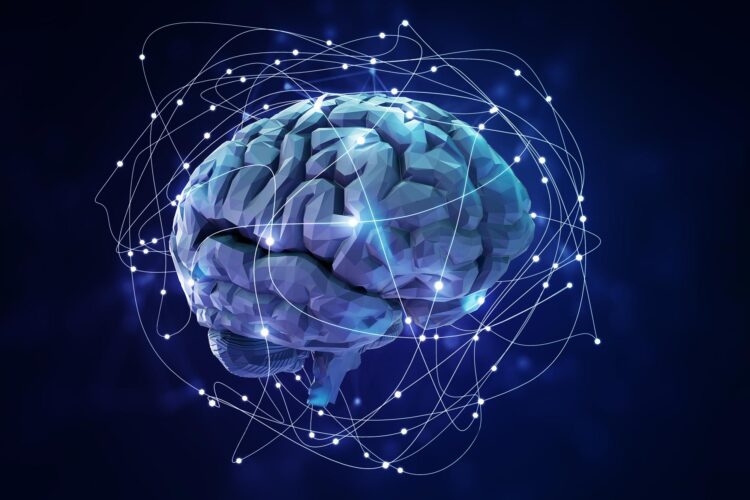 کشف زمان‌بندی دقیق پردازش اطلاعات در مغز