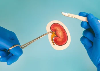 آغاز نخستین آزمایش گسترده پیوند کلیه خوک به انسان با چراغ سبز FDA