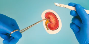 آغاز نخستین آزمایش گسترده پیوند کلیه خوک به انسان با چراغ سبز FDA