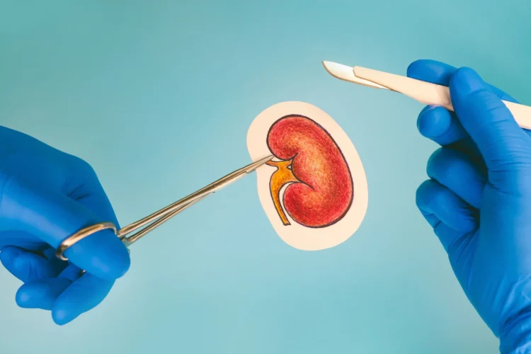 آغاز نخستین آزمایش گسترده پیوند کلیه خوک به انسان با چراغ سبز FDA