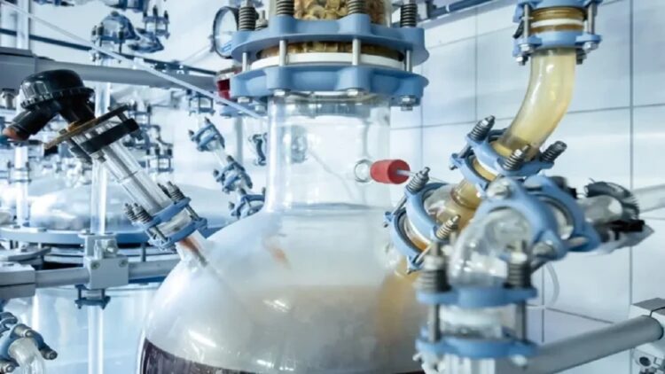 تبدیل ضایعات صنعتی به پلاستیک خوراکی با کمک قارچ مخمرسیاه