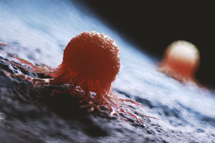 کشف رژیم غذایی جدیدی که می تواند رشد تومورهای مغزی کشنده را کاهش دهد