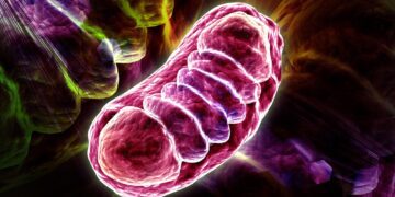 علت گسترش سرطان سینه به ریه کشف شد