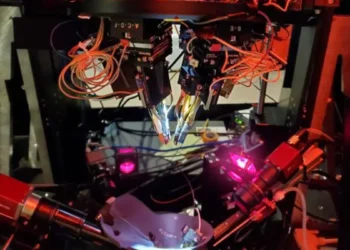 بازسازی خطای دید در مغز با فناوری لیزری پیشرفته