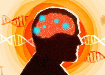 نقش ژن‌های جهنده در شکل‌گیری بیماری‌ های مغزی مانند آلزایمر و ALS