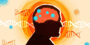 نقش ژن‌های جهنده در شکل‌گیری بیماری‌ های مغزی مانند آلزایمر و ALS