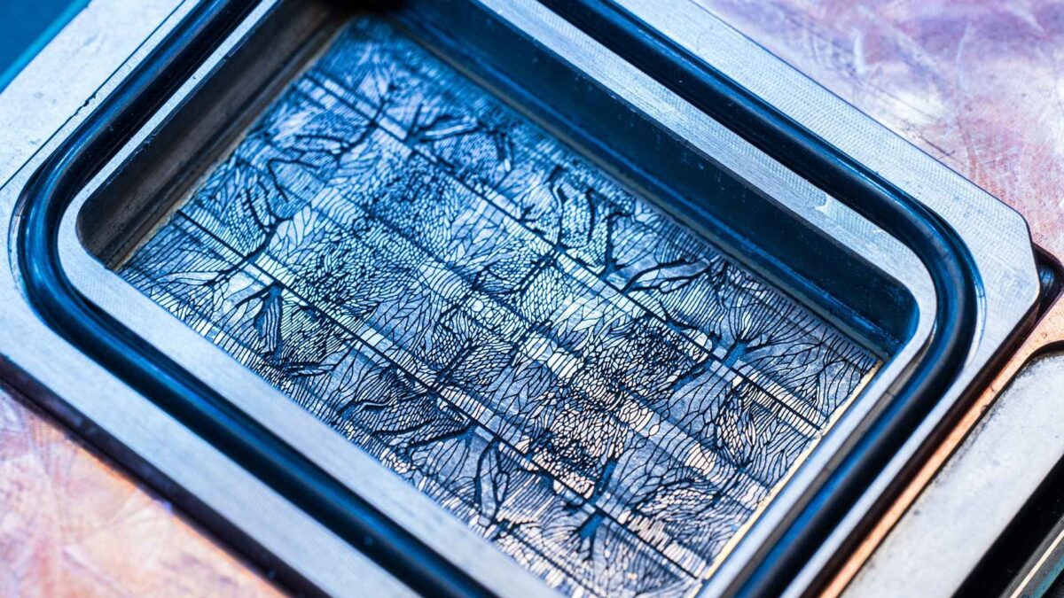 کاهش چشمگیر دما و مزایای جانبی