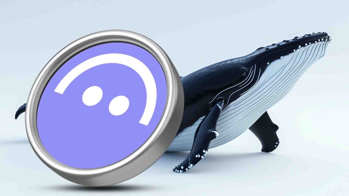 ۳ آلت کوین که نهنگها به دنبال خرید آنها هستند