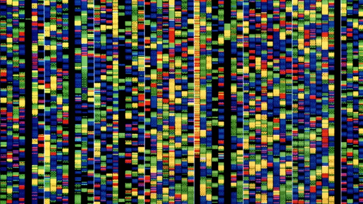 ابزار MetaGraph به عنوان موتور جست‌وجوی DNA معرفی شد