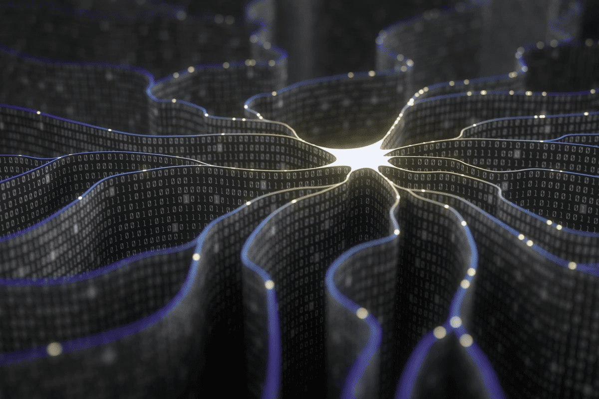 بوسه نورون‌ها پس از نیم قرن سکوت 