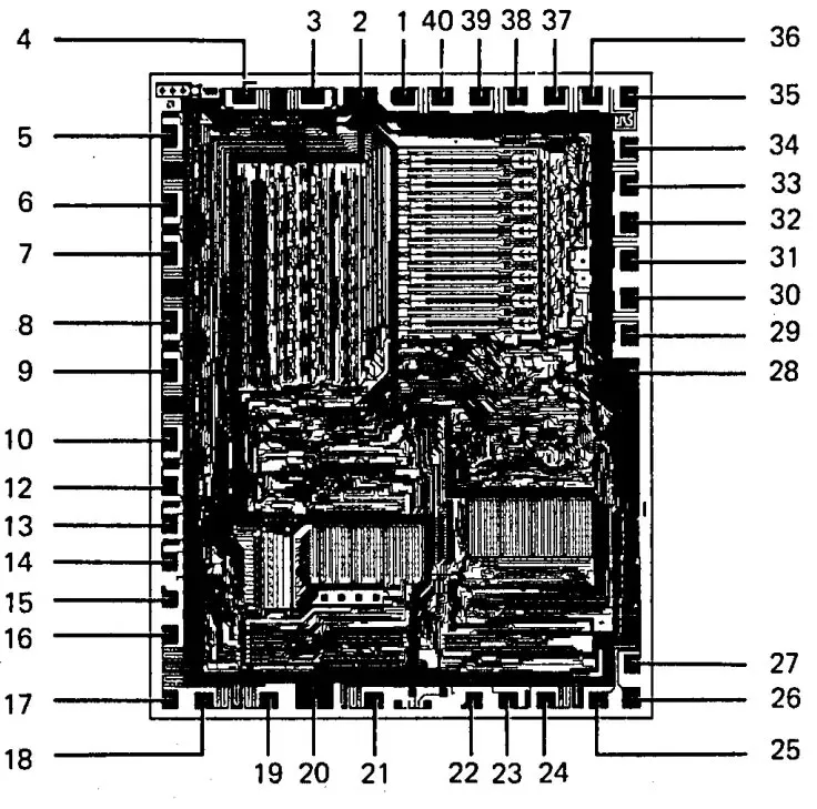 Am9080