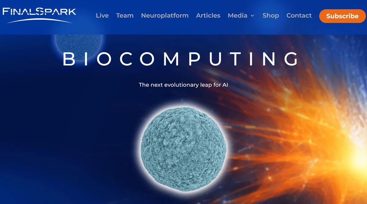computers powered by mini human brains