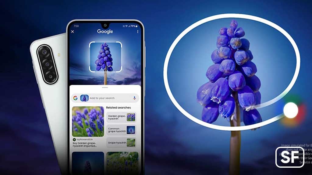 Samsung Galaxy M-Series