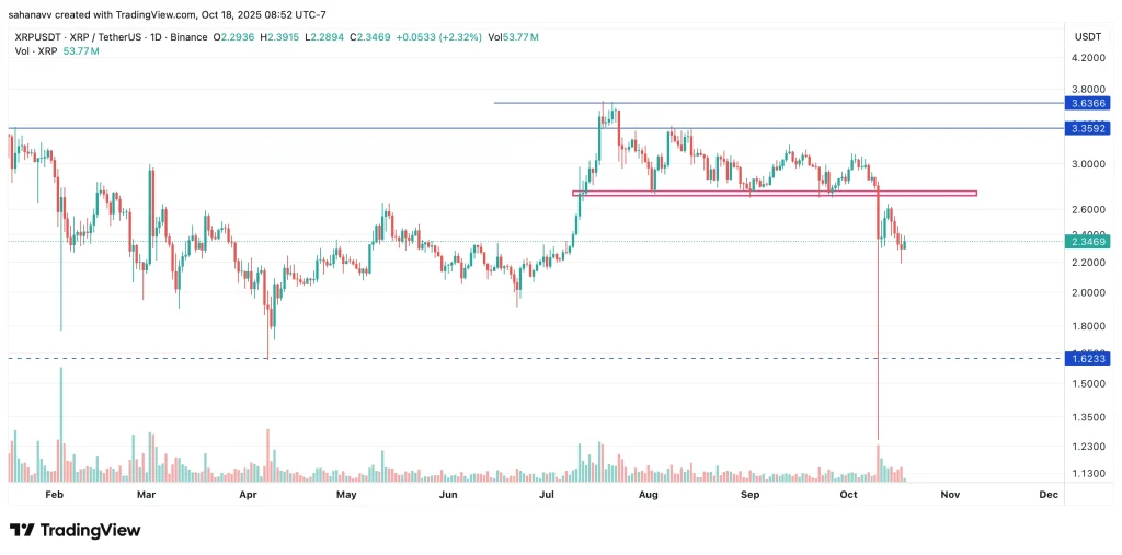 جهش دوباره ریپل (XRP) با گمانهزنی درباره کاهش نرخ بهره فدرال رزرو