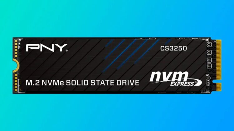 PNY CS3250