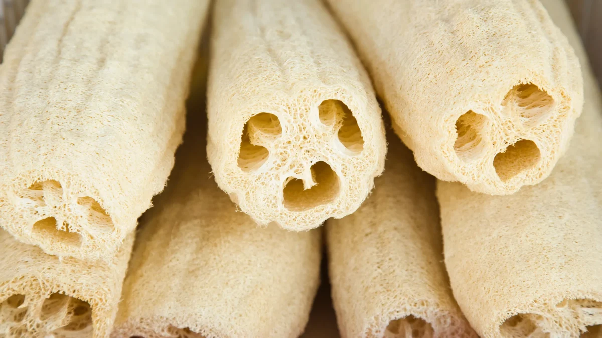 ساخت پوشش رادارگریز گیاهی که شدت بازتاب امواج رادار را تا ۷۰۰ برابر کاهش می دهد